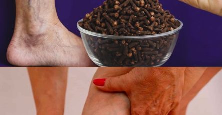 571121666 122134350860943773 3422608667677072330 n