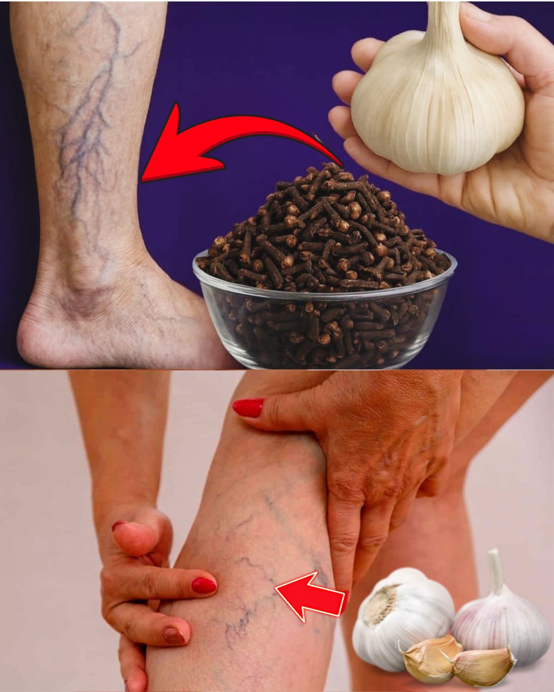 571121666 122134350860943773 3422608667677072330 n