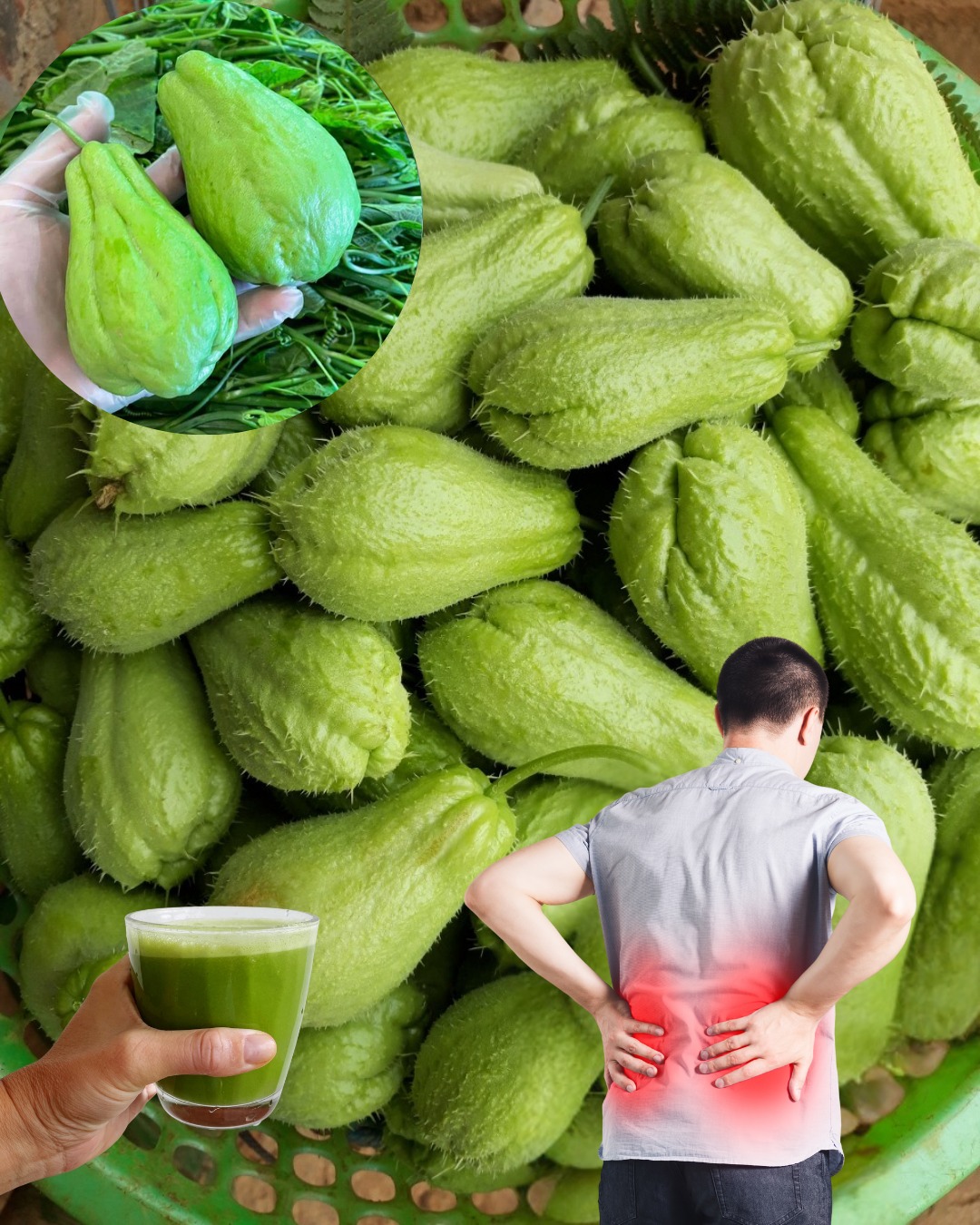 571151347 122134203212943773 8983580386759567204 n