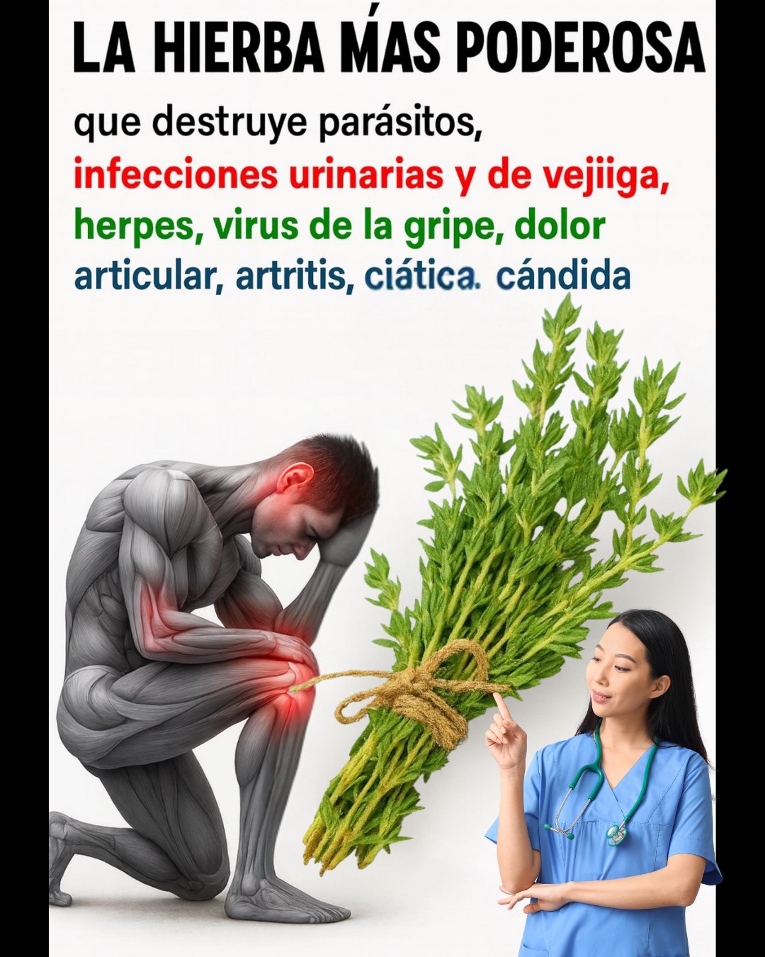 571191215 122135025404943773 2624152185592555280 n