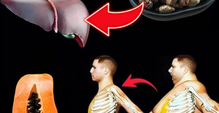 571237566 122134664654943773 4814400899309817427 n