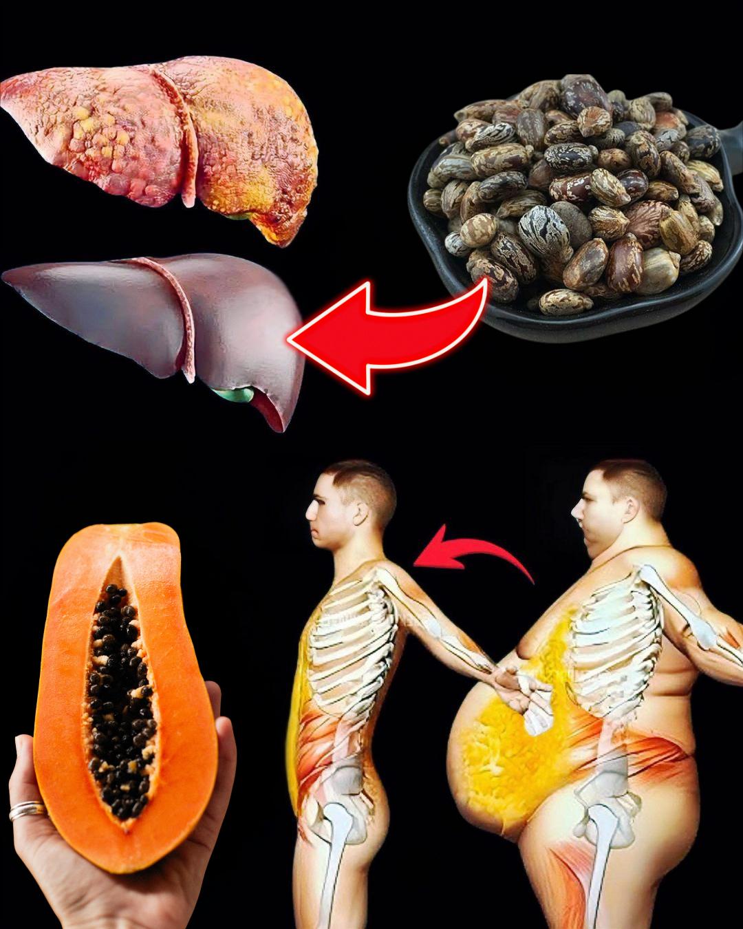 571237566 122134664654943773 4814400899309817427 n