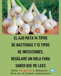 571252704 122135041772943773 4941510396372990099 n