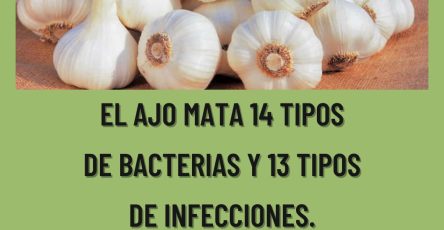 571252704 122135041772943773 4941510396372990099 n