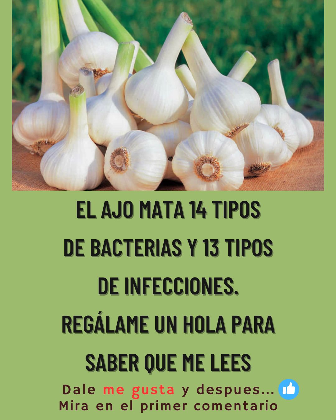 571252704 122135041772943773 4941510396372990099 n