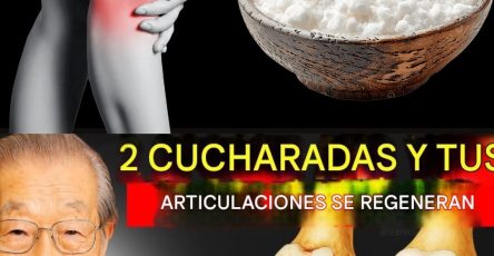 571300380 122135668532943773 4751955122517301214 n