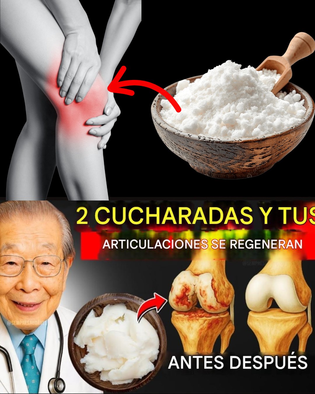 571300380 122135668532943773 4751955122517301214 n