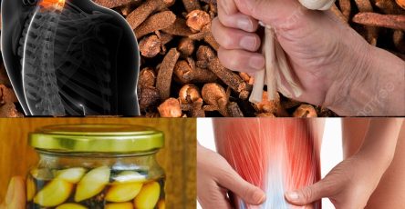 571397807 122134913888943773 2969128574329234946 n