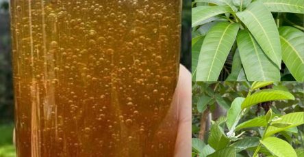 571417028 122134867526943773 6254690900851960224 n