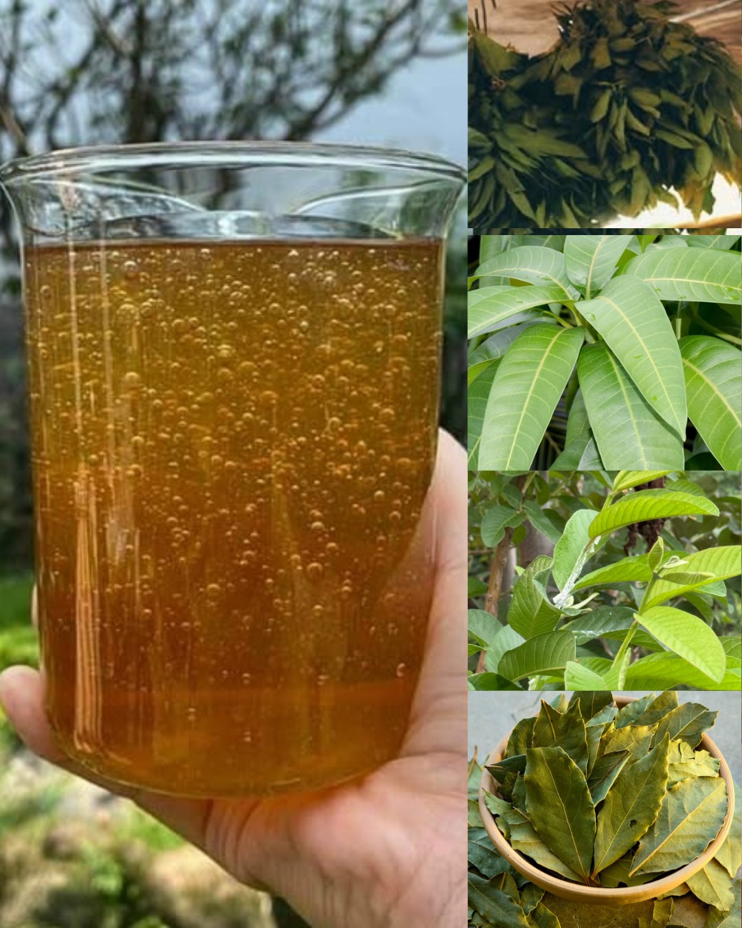 571417028 122134867526943773 6254690900851960224 n