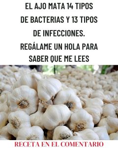 571486215 122136051524943773 1642134391953862743 n