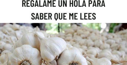 571486215 122136051524943773 1642134391953862743 n