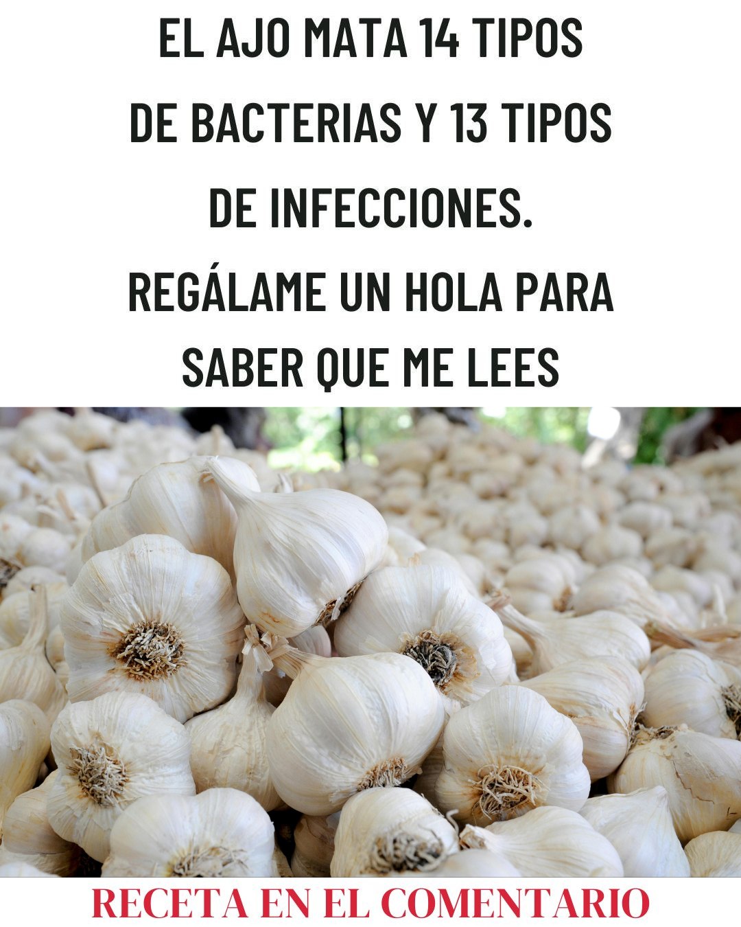 571486215 122136051524943773 1642134391953862743 n