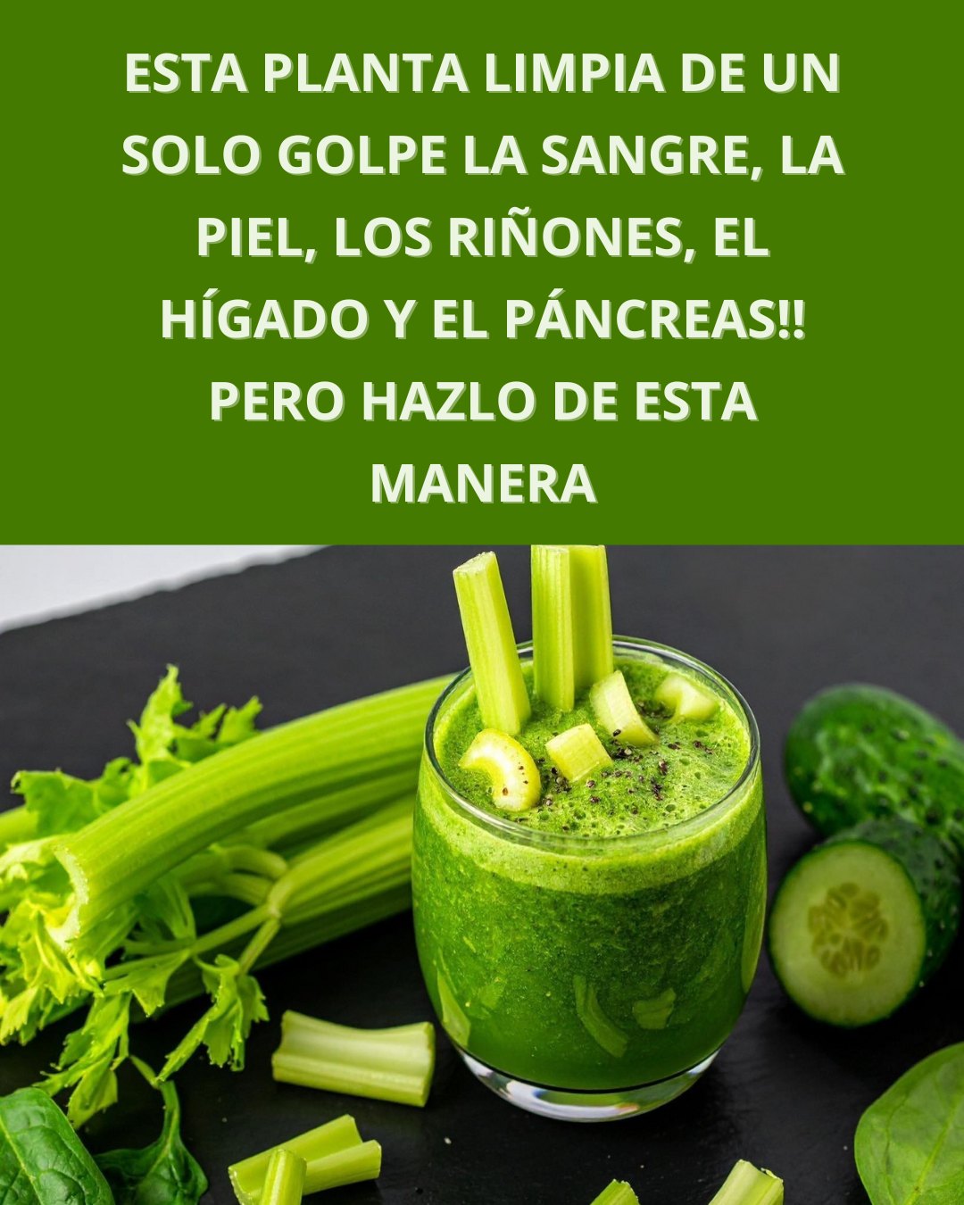 572013562 122134896968943773 2675392211937184362 n