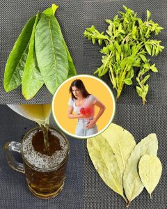 572318384 122136093368943773 6247699812461292404 n