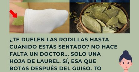 572402469 122135729684943773 8273003450568194404 n