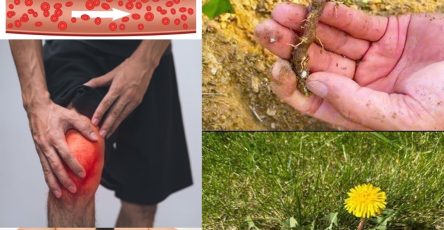 572884664 122135507174943773 5900615659338042223 n