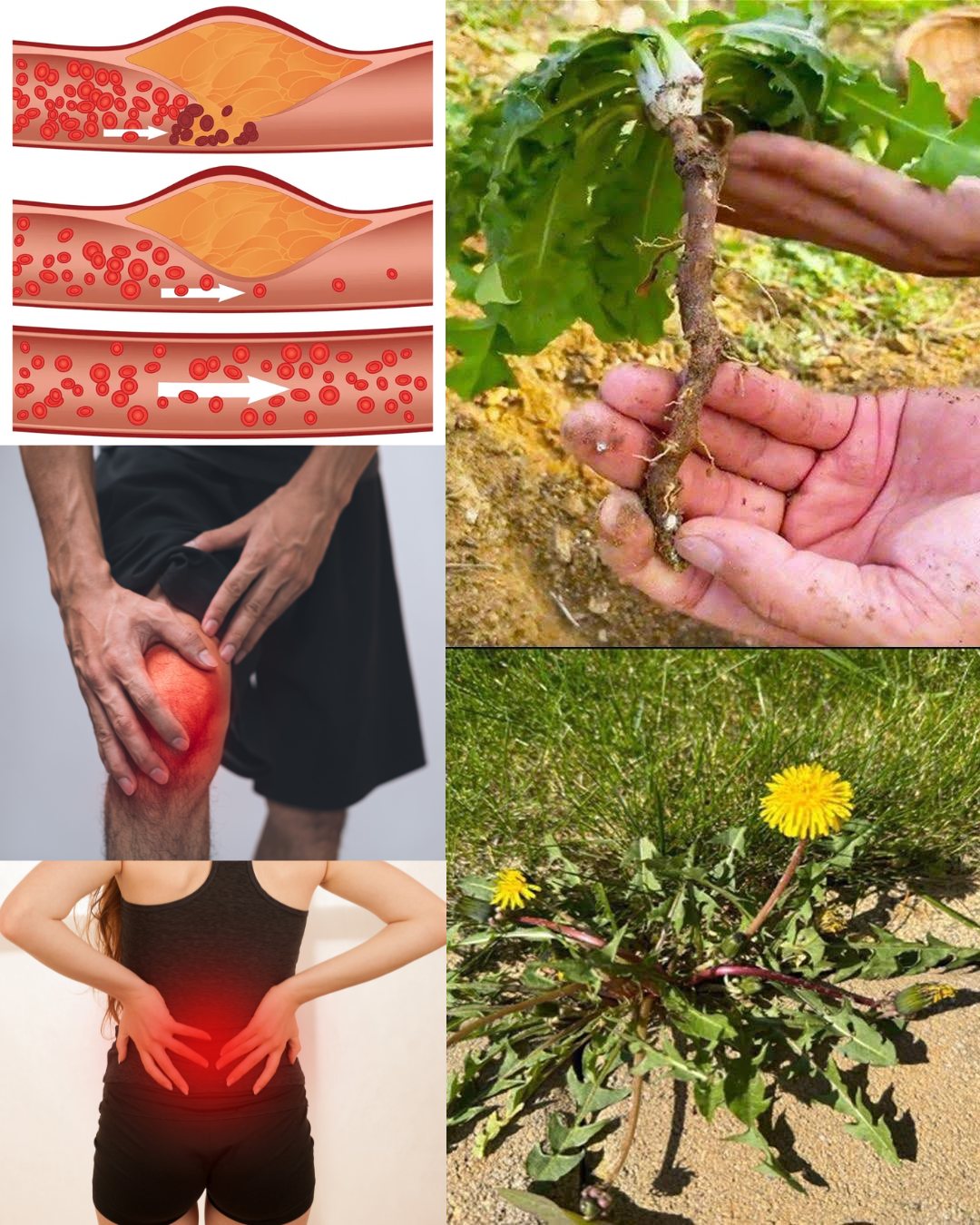 572884664 122135507174943773 5900615659338042223 n