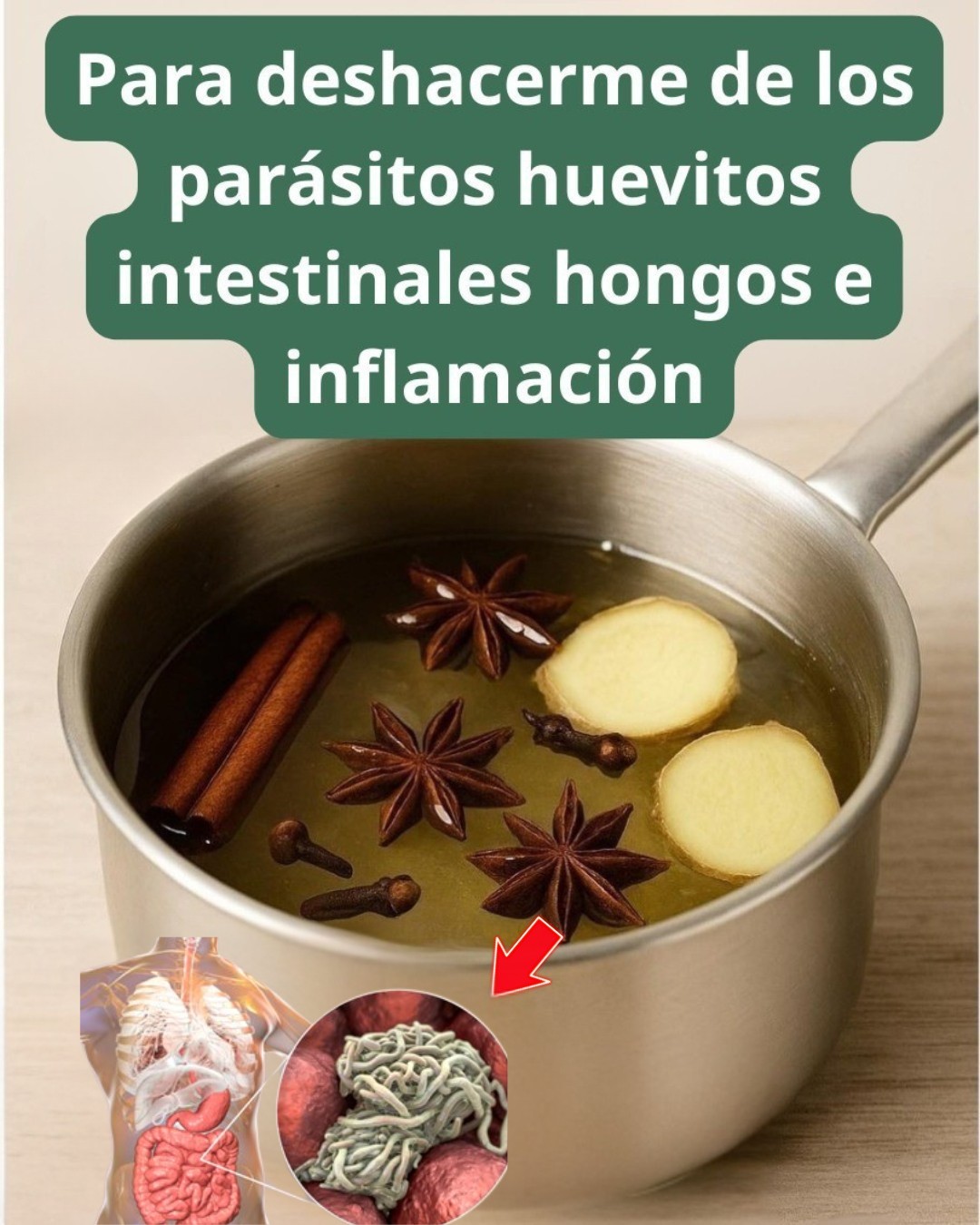 572986843 122136235856943773 7230130960918532115 n