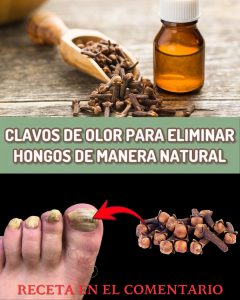 573346831 122135643692943773 5898376437289823554 n