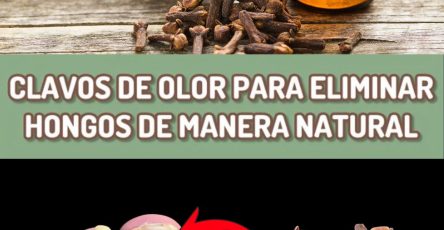 573346831 122135643692943773 5898376437289823554 n