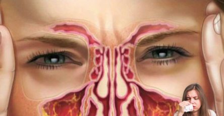 573434273 122136210284943773 899383669335822853 n