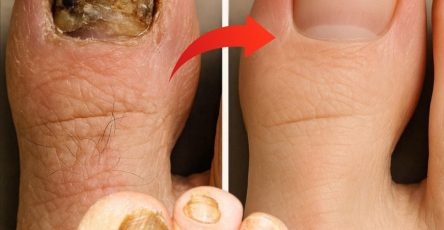 574027947 122136315518943773 7037478214842009830 n