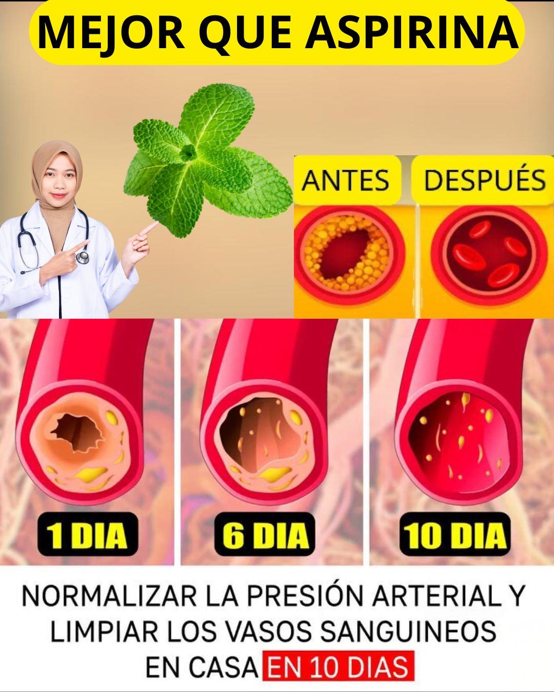 574107391 122136221120943773 2525963819846920221 n