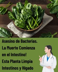 574567563 122136112406943773 5954806630577444002 n