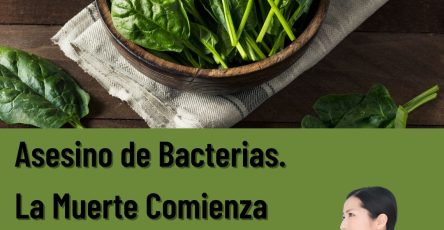 574567563 122136112406943773 5954806630577444002 n