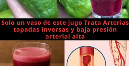 575006536 122135488724943773 7652502453596735717 n