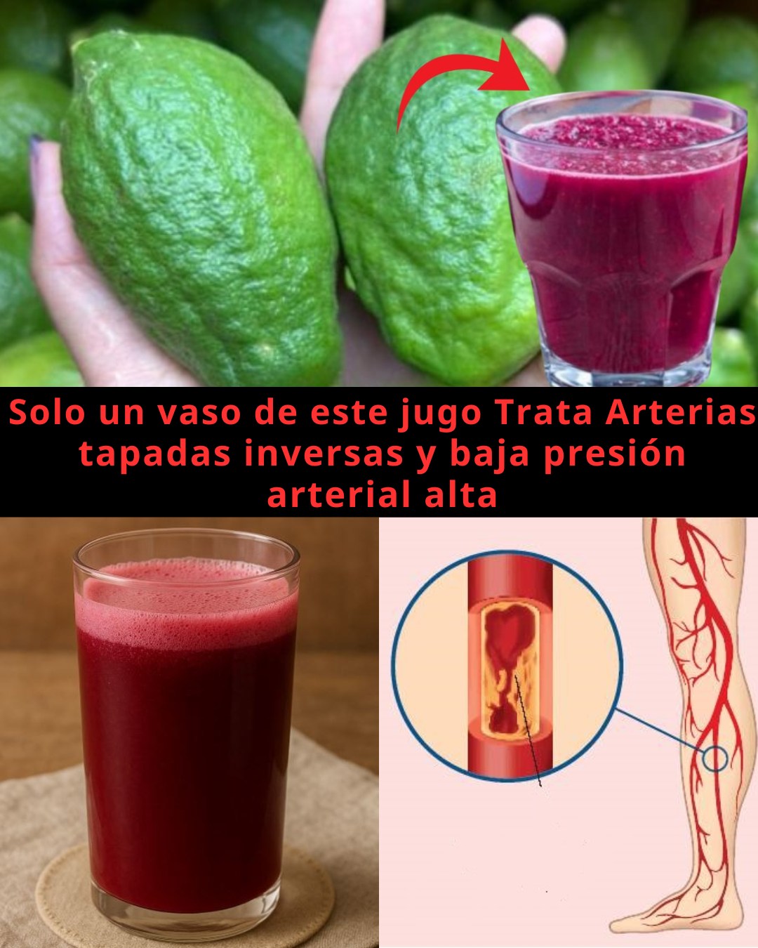 575006536 122135488724943773 7652502453596735717 n