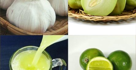 575156443 122136417800943773 5909211186667052129 n