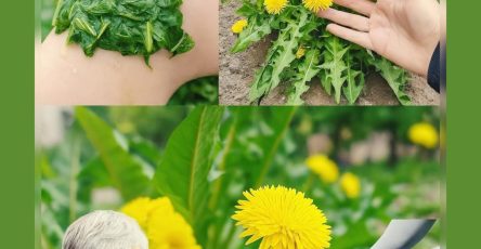 576459302 122136270404943773 639531077320822491 n