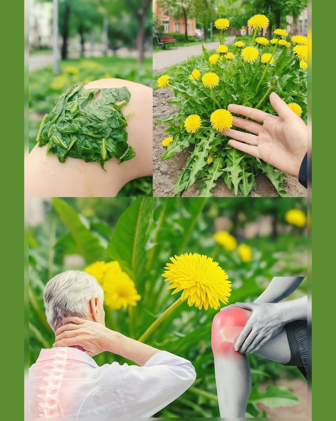 576459302 122136270404943773 639531077320822491 n