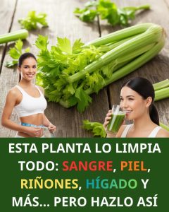 577004867 122138008994943773 10833217205983823 n