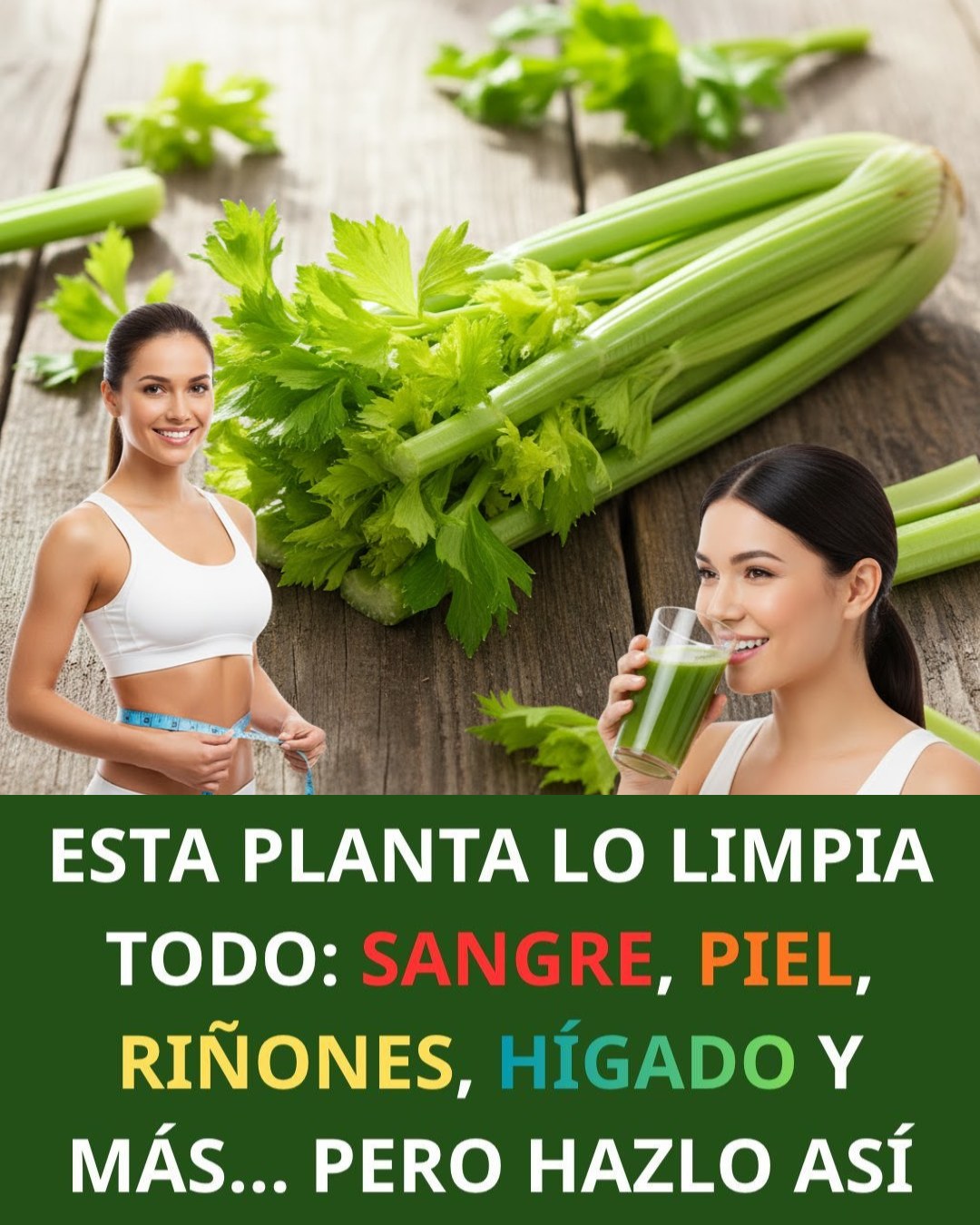 577004867 122138008994943773 10833217205983823 n