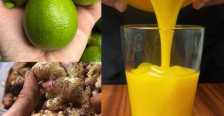 577008223 122137590644943773 7312949377403983829 n