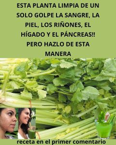 577026797 122136642812943773 445484148826181180 n