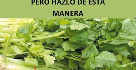 577026797 122136642812943773 445484148826181180 n