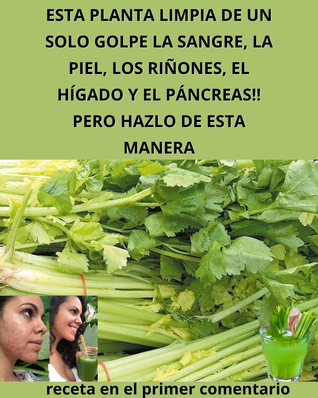 577026797 122136642812943773 445484148826181180 n