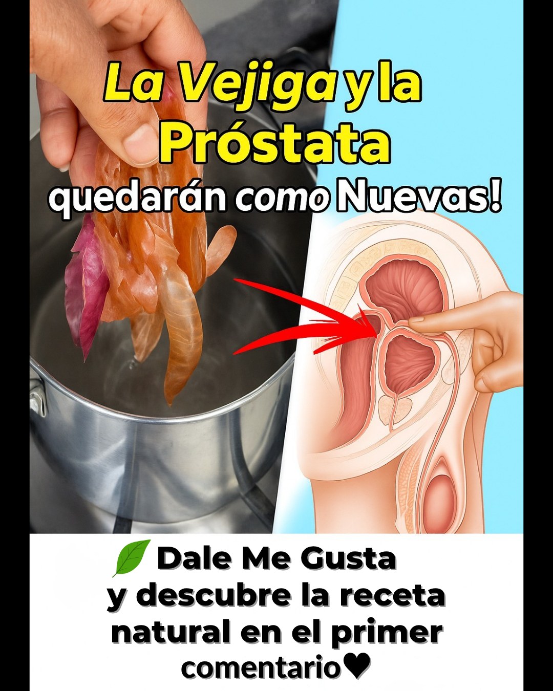 577411869 122137251644943773 5513198390256796659 n