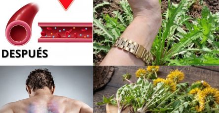 577460872 122137122128943773 1545841120524390445 n