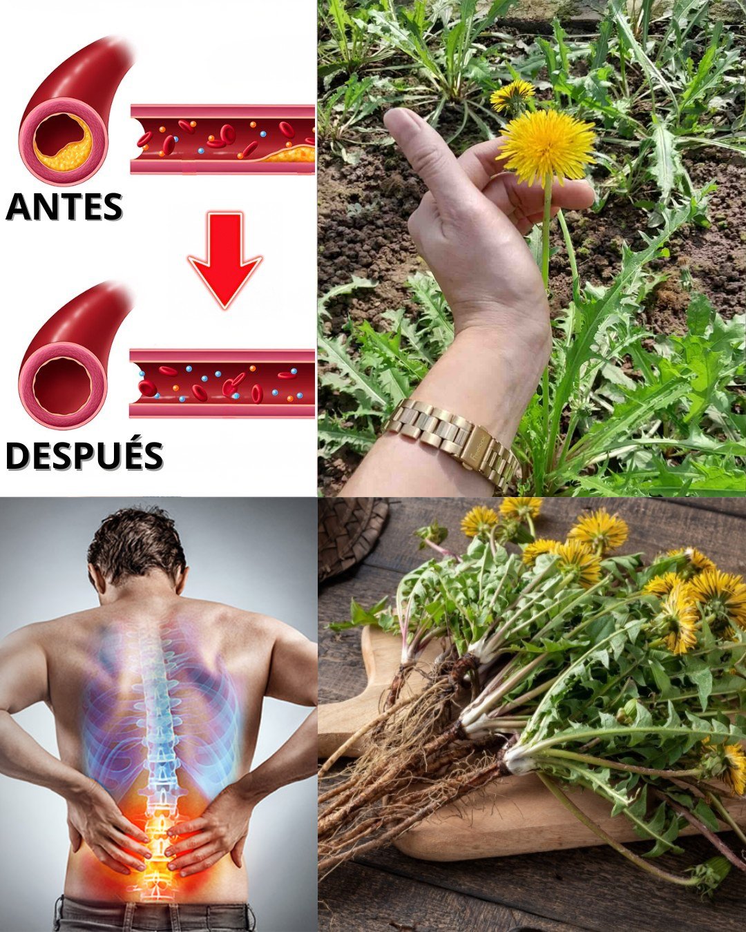 577460872 122137122128943773 1545841120524390445 n