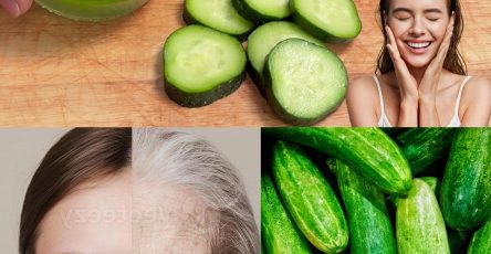 577608599 122136788276943773 1953370194921356267 n