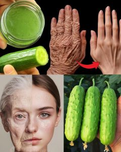 579664951 122137712042943773 1549195147757143907 n