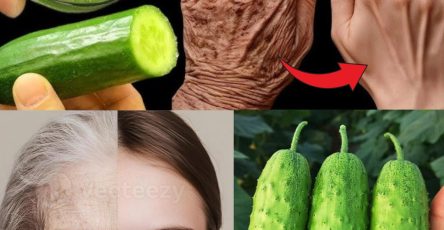 579664951 122137712042943773 1549195147757143907 n