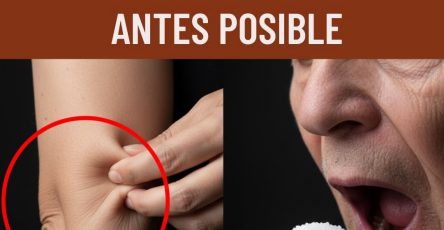 581933737 122138713082943773 1269390739493311450 n