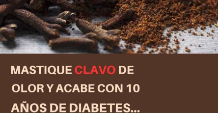 586295887 122140349876943773 6788790548889752013 n