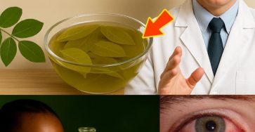 590325649 122141147162943773 4807280722661045887 n